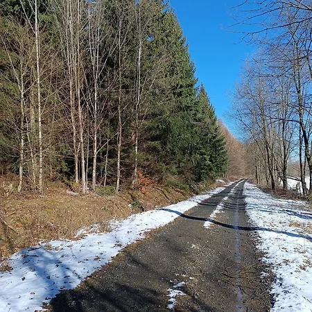 Wczasowisko Rudawski Zakatek 公寓