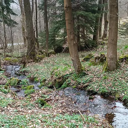 公寓 Wczasowisko Rudawski Zakatek *