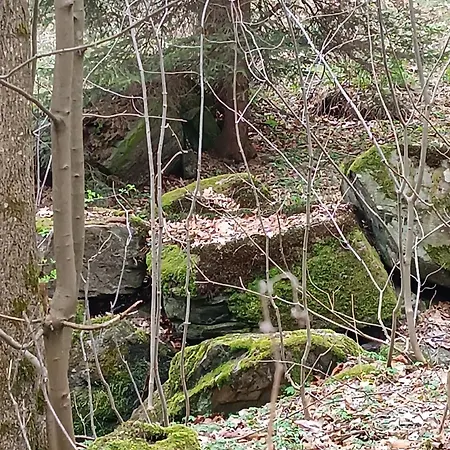 Wczasowisko Rudawski Zakatek