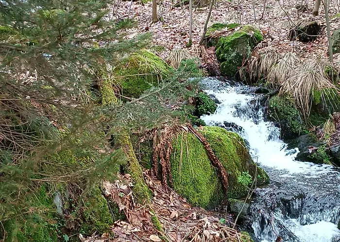 Wczasowisko Rudawski Zakatek