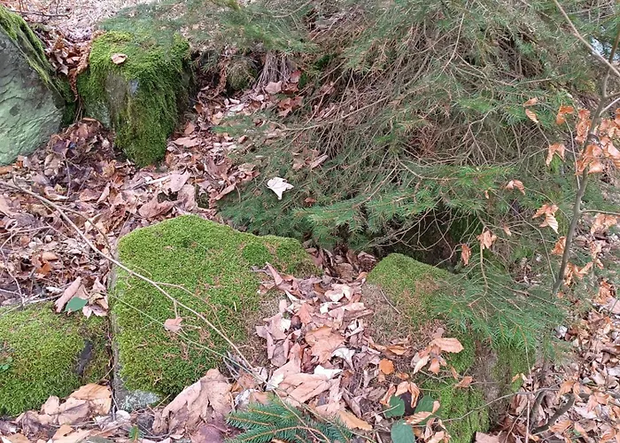 Wczasowisko Rudawski Zakatek 아파트 Wiesciszowice