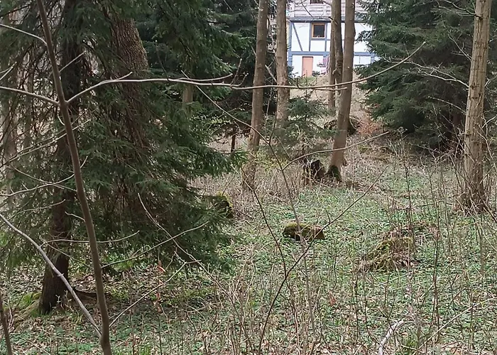 아파트 Wczasowisko Rudawski Zakatek Wiesciszowice