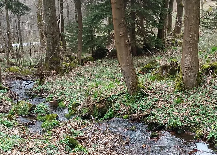 아파트 Wczasowisko Rudawski Zakatek *