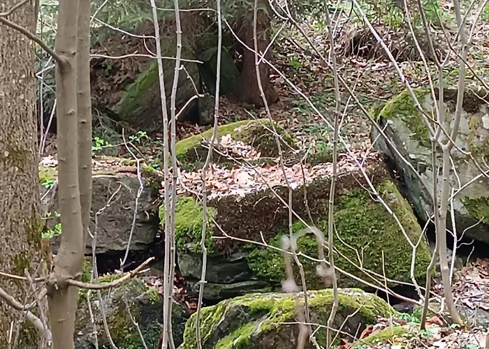 Wczasowisko Rudawski Zakatek